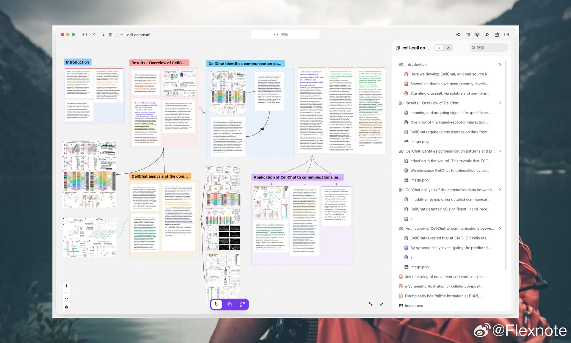 A Flexnote study board: lecture notes, annotated PDFs, and flashcard-style cards on one canvas