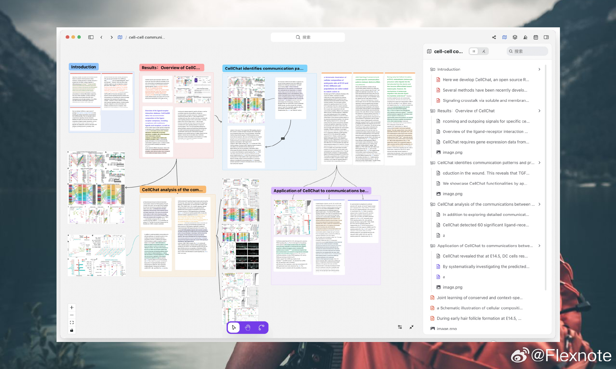 A Flexnote study board: lecture notes, annotated PDFs, and flashcard-style cards on one canvas